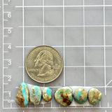 Small Faint Blue Freeform Royston Turquoise, Set of 6 Dimensions