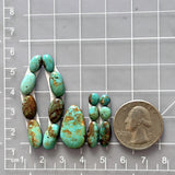 Small Sea Green Mixed Tyrone Turquoise, Set of 15 Dimensions