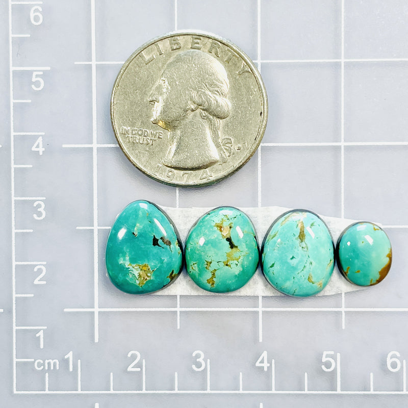 Small Mint Green Freeform Tyrone Turquoise, Set of 4 Dimensions