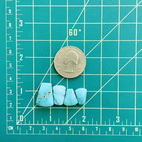 Small Sky Blue Petal Lone Mountain Turquoise, Set of 4 Dimensions