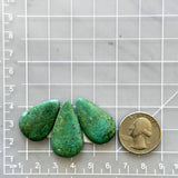 Large Deep Green Teardrop Yungai Turquoise, Set of 3 Dimensions