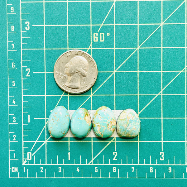 Small Mint Green Freeform Carico Lake Turquoise, Set of 4 Dimensions