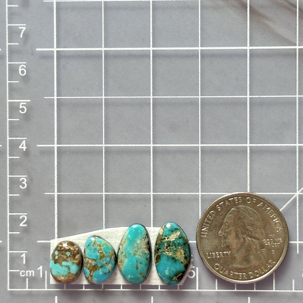 Small Mint Green Freeform Royston Turquoise, Set of 4 Dimensions