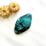 Large Sky Blue Freeform Yungai Turquoise Background