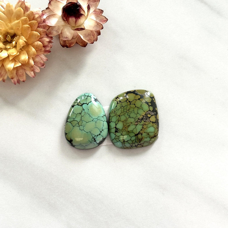 Large Lime Green Mixed Treasure Mountain Turquoise, Set of 2 Background