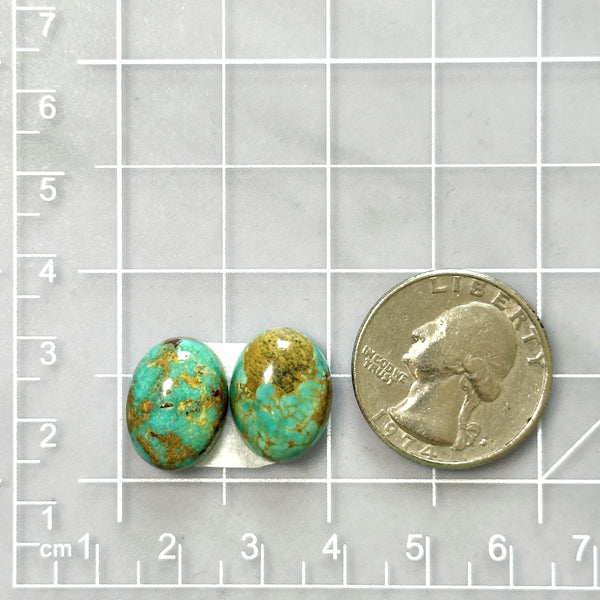 Medium Sea Green Oval Crescent Lake Variscite, Set of 2 Dimensions