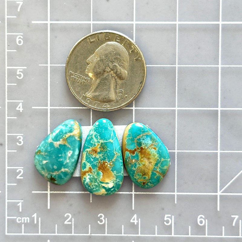 Medium Sky Blue Mixed Royston Turquoise, Set of 3 Dimensions