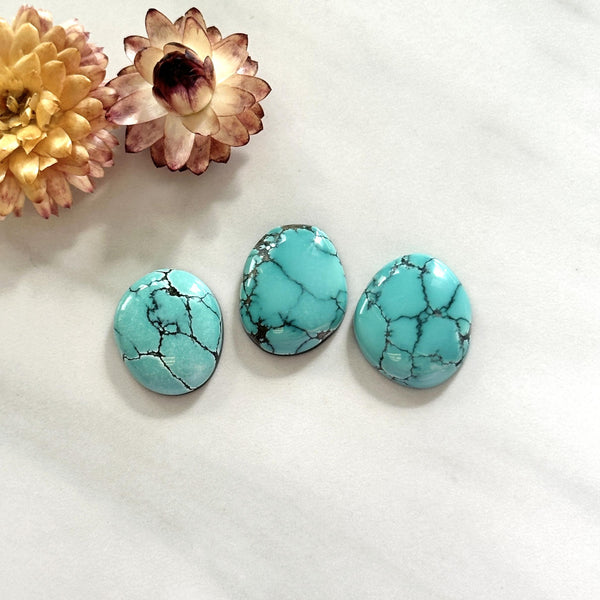 特別価格Gem Lone Mountain turquoise ローンマウンテン Lone Mountain Turquoise 2ct ローンマウンテン