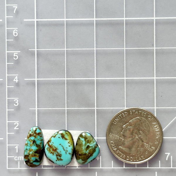 Small Sea Green Freeform Carico Lake Turquoise, Set of 3 Dimensions