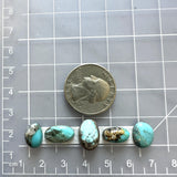 Small Sky Blue Mixed Ithaca Peak Turquoise, Set of 5 Dimensions