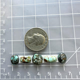 Small Mixed Mixed Mixed Turquoise, Set of 5 Dimensions