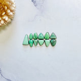 Small Mint Green Mixed Lucid Variscite, Set of 11 Background