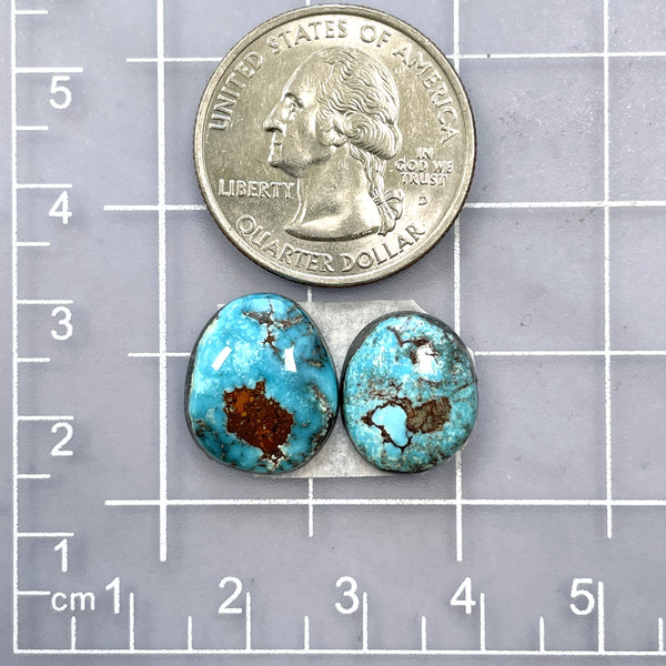 Small Ocean Blue Freeform Golden Hills Turquoise, Set of 2 Dimensions