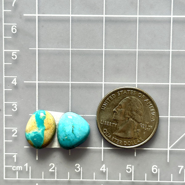 Small Sky Blue Mixed Royston Turquoise, Set of 2 Dimensions