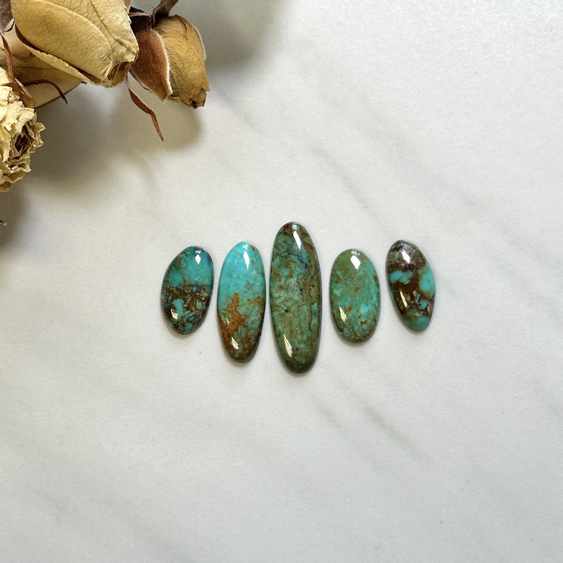 Small Mixed Mixed Tyrone Turquoise, Set of 5 Background
