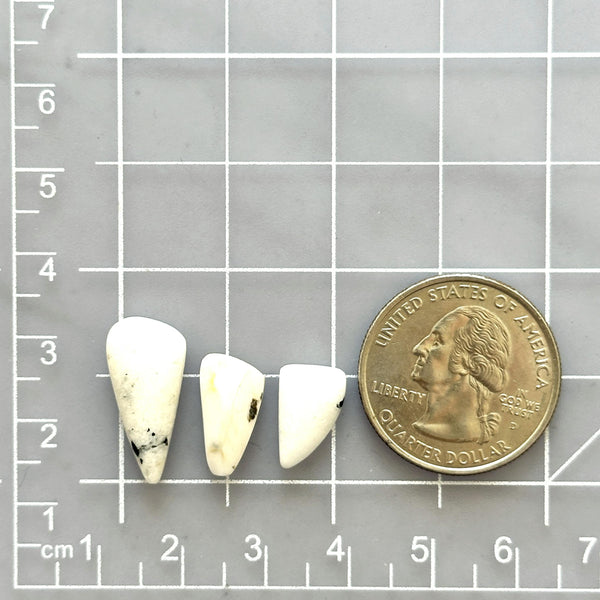 Small White Freeform White Buffalo Dolomite, Set of 3 Dimensions