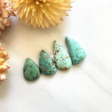 Small Mixed Teardrop Namtso Lake Turquoise, Set of 4 Background