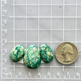 Large Deep Green Mixed Fox Turquoise, Set of 3 Dimensions