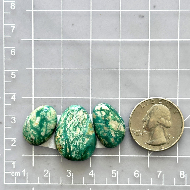 Large Deep Green Mixed Fox Turquoise, Set of 3 Dimensions