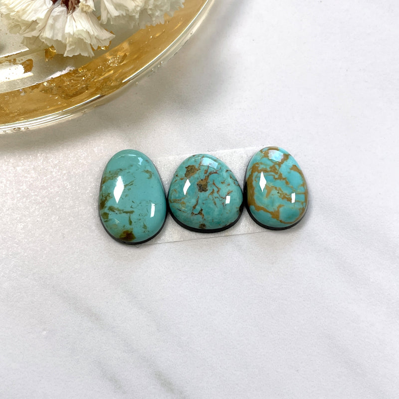 Small Sky Blue Freeform Tyrone Turquoise, Set of 3 Background