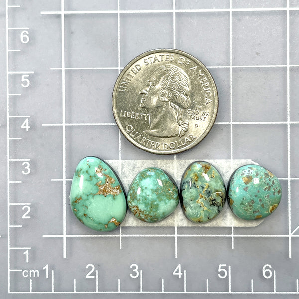 Small Mint Green Freeform Carico Lake Turquoise, Set of 4 Dimensions