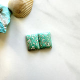 Medium Sea Green Bar Namtso Lake Turquoise, Set of 2 Background