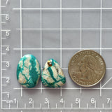 Large Mint Green Mixed Fox Turquoise, Set of 2 Dimensions