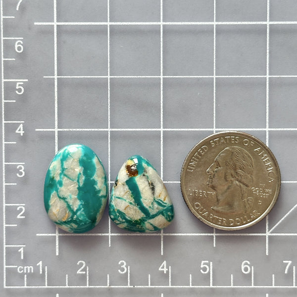 Large Mint Green Mixed Fox Turquoise, Set of 2 Dimensions