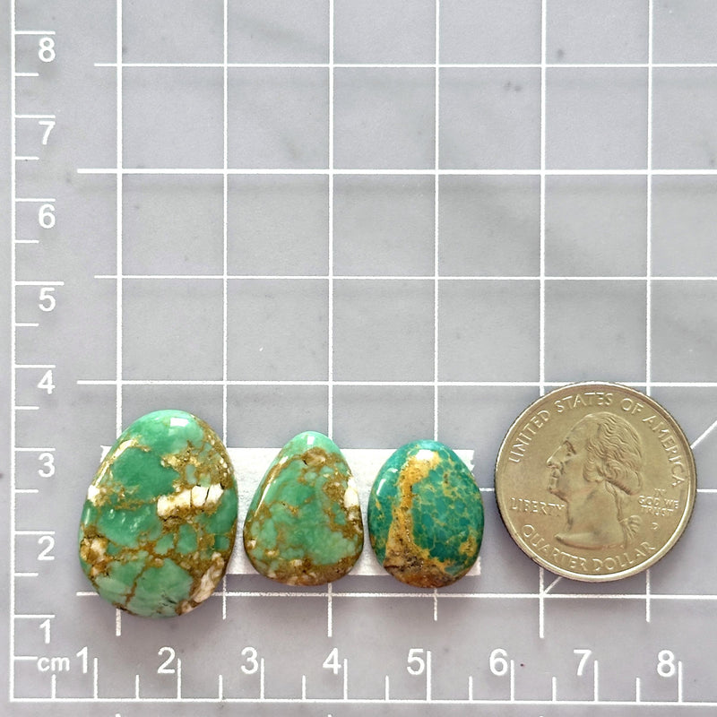 Medium Deep Green Mixed Royston Turquoise, Set of 3 Dimensions