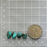 Small Sea Green Freeform Sonora Turquoise, Set of 4 Dimensions