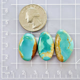 Large Sky Blue Freeform Royston Turquoise, Set of 3 Dimensions