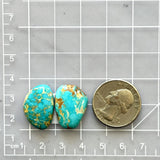 Medium Sky Blue Freeform Royston Turquoise, Set of 2 Dimensions