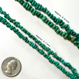 Sea Green Fox Turquoise Smooth Nugget Beads