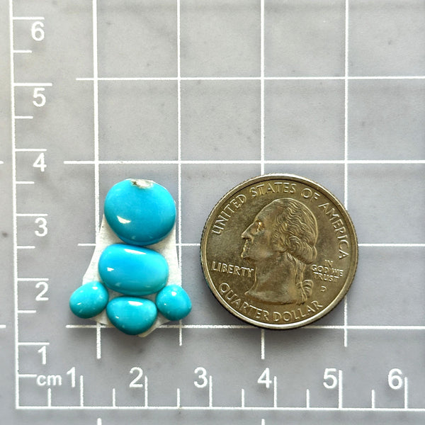 Small Sky Blue Mixed Sleeping Beauty Turquoise, Set of 5 Dimensions