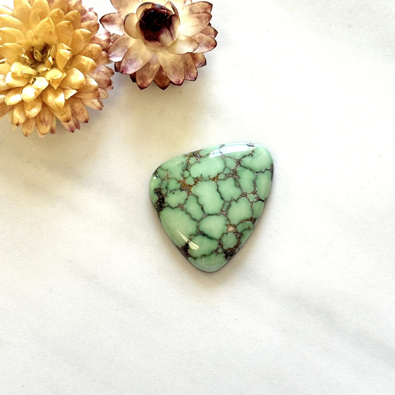 Large Mint Green Freeform Namtso Lake Turquoise Background