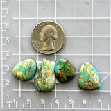 Small Lime Green Mixed Number 8 Turquoise, Set of 4 Dimensions