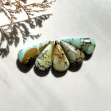 Medium Mixed Teardrop Mixed Turquoise, Set of 5 Background