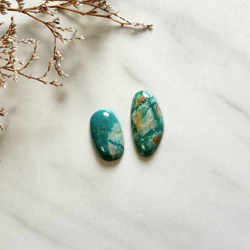 Medium Deep Green Freeform Fox Turquoise, Set of 2 Background