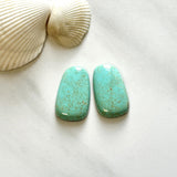 Large Faint Green Freeform Number 8 Turquoise, Set of 2 Background