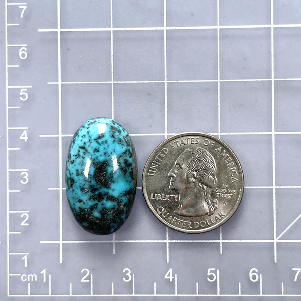 Large Sky Blue Oval Ithaca Peak Turquoise Dimensions