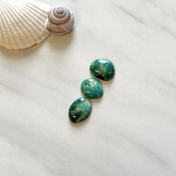 Small Deep Green Freeform Fox Turquoise, Set of 3 Background