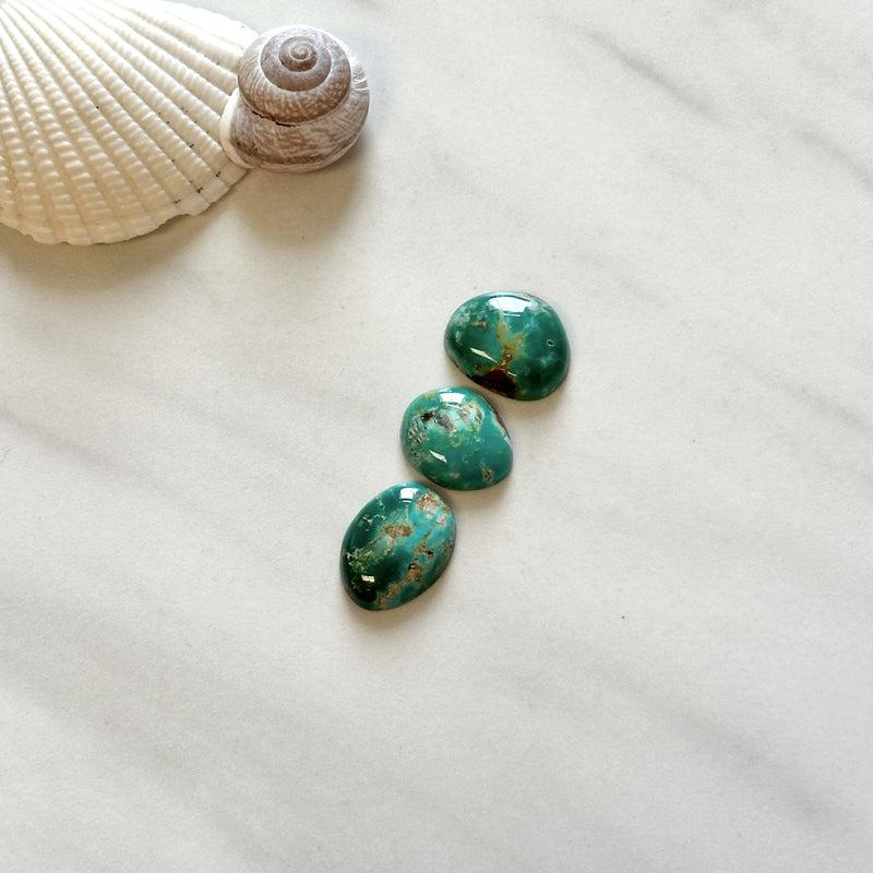 Small Deep Green Freeform Fox Turquoise, Set of 3 Background