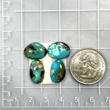 Small Ocean Blue Freeform Blue Moon Turquoise, Set of 4 Dimensions