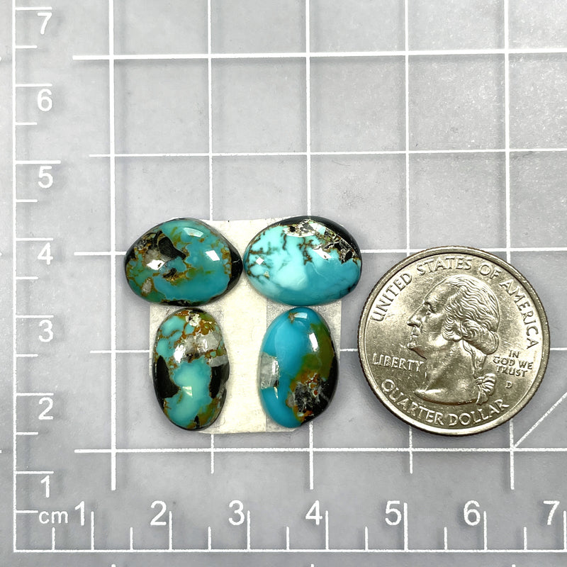 Small Ocean Blue Freeform Blue Moon Turquoise, Set of 4 Dimensions