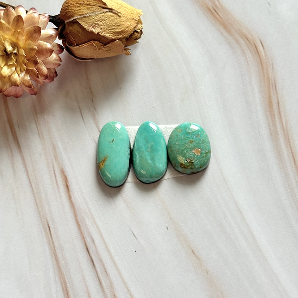 Small Mint Green Mixed Carico Lake Turquoise, Set of 3 Background