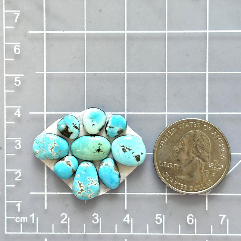 Small Sky Blue Mixed Lone Mountain Turquoise, Set of 9 Dimensions