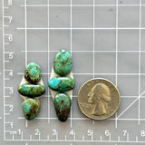 Small Sea Green Mixed Number 8 Turquoise, Set of 6 Dimensions
