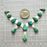 Small Deep Green Mixed Fox Turquoise, Set of 12 Dimensions