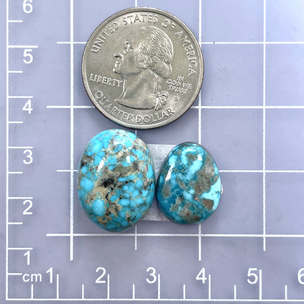 Medium Sky Blue Freeform Ithaca Peak Turquoise, Set of 2 Dimensions