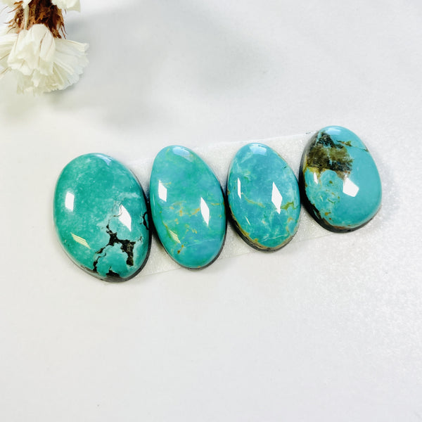 Small Sea Green Freeform Tyrone Turquoise, Set of 4 Background